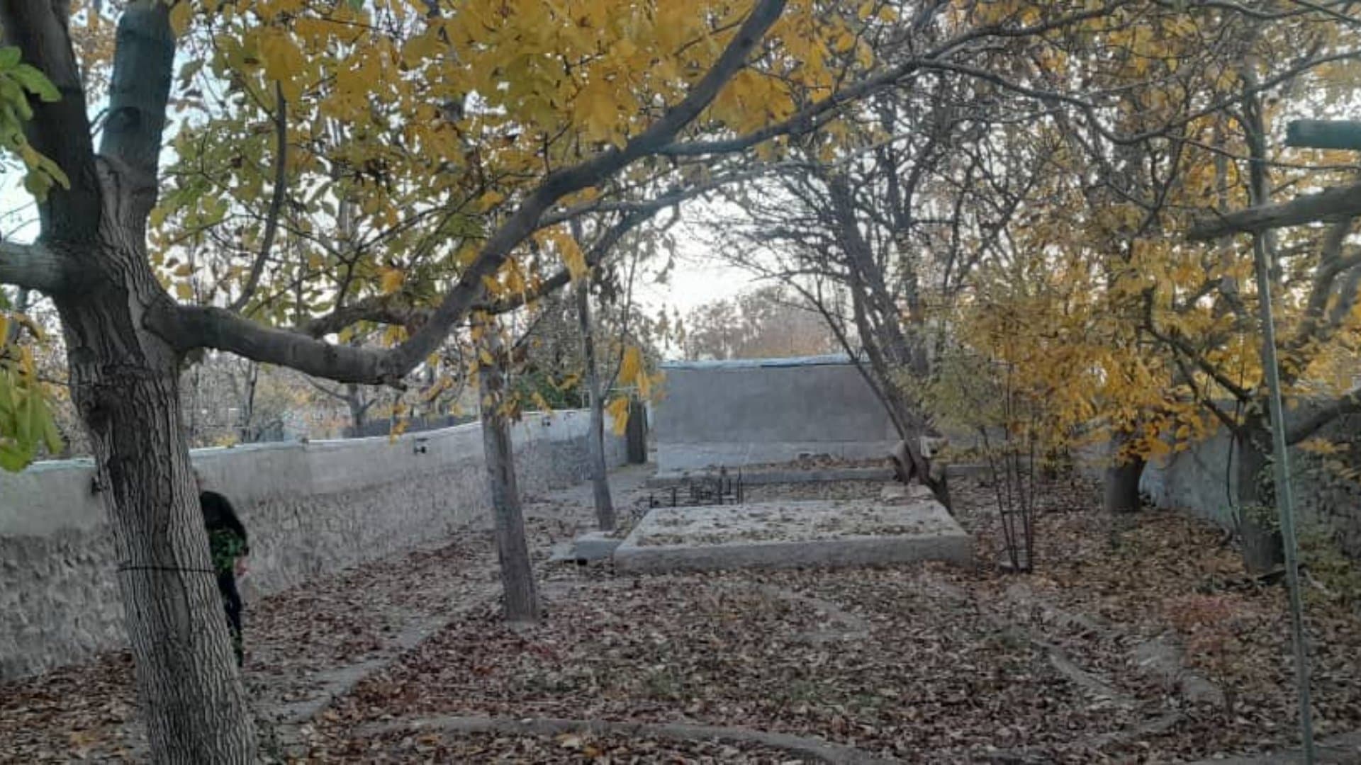 اقامتگاه بومگردی باغ سلیم