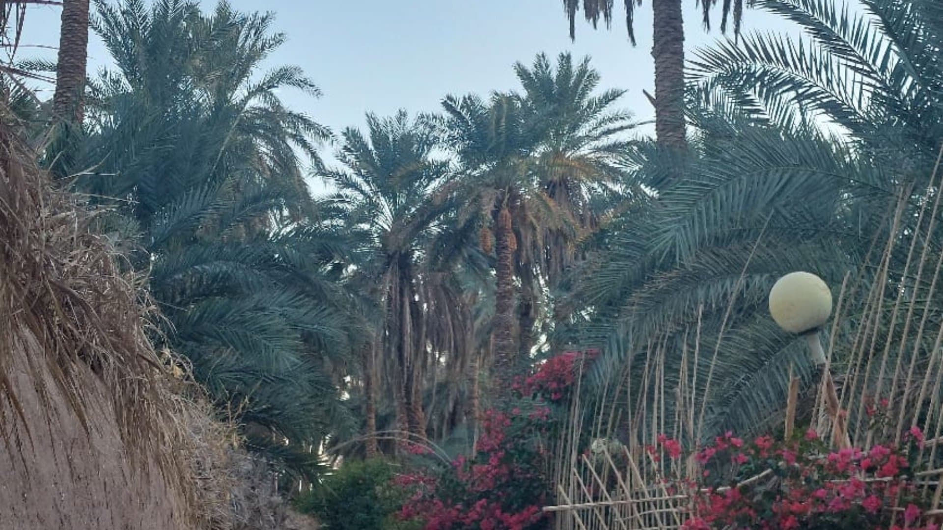 بوم گردی حرفه ای کلوت شهداد