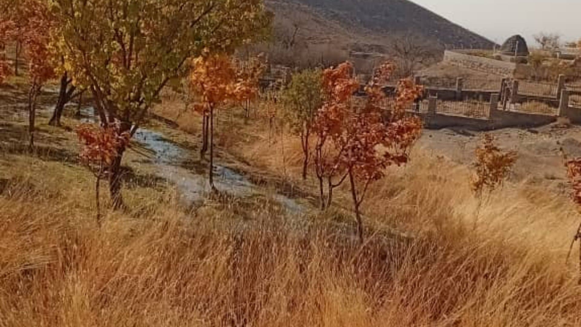 اقامتگاه کهن یاور